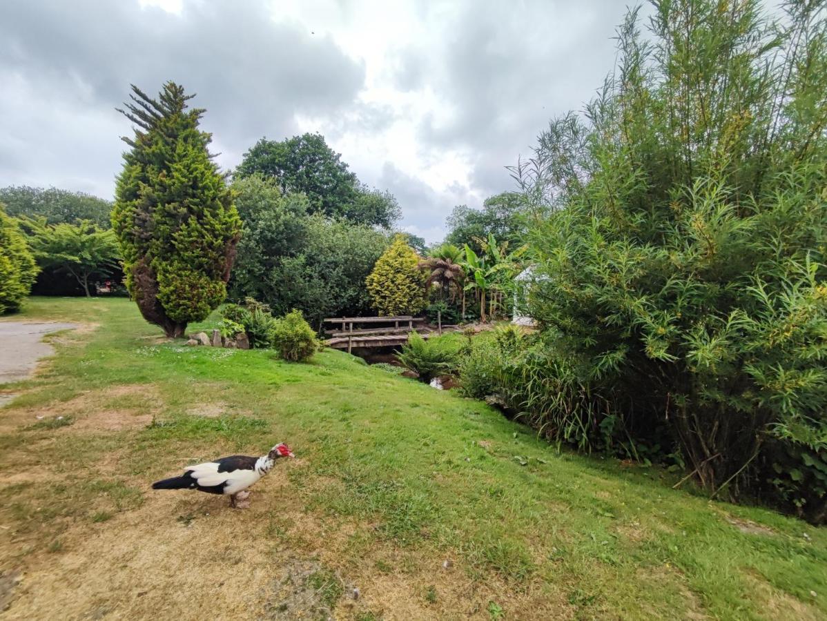 Tree Fern Barn Villa St Austell Exterior photo